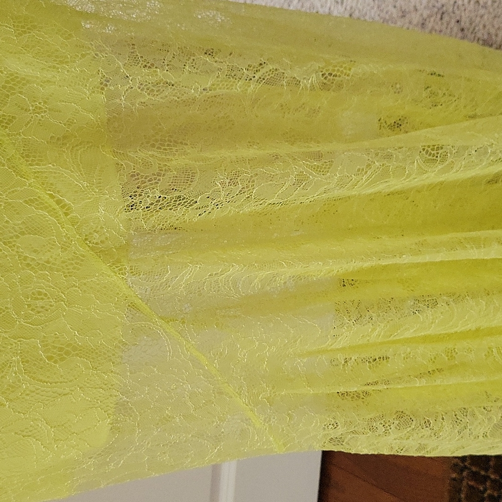 Lace Skirt - Picture 2 of 4